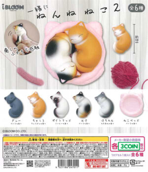 Cats Sleeping Together 2