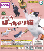 Fascinating Chubby Cat