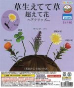 Beyond Flowers! Grass is Growing Hair Clip