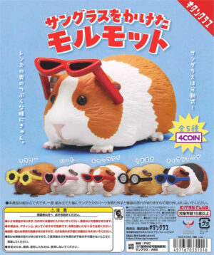 Guinea Pigs Wearing Sunglasses