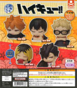 Haikyu!! Onemutan Sleepy Second Uni Color Ver