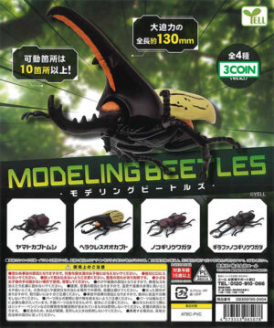Modeling Beetles