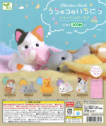 My Pets Daily Life! I Love Towel Blankets