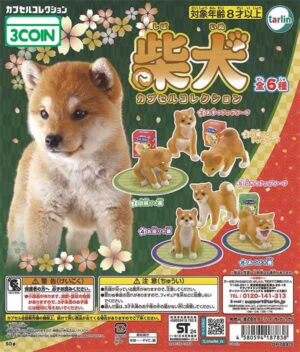 Shiba Inu Capsule Collection